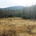 Black Tail Creek