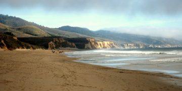 First Day On The Peninsula – Limantour Beach