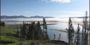 Hanging With The Wolf Watchers