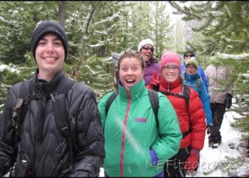 Would You Believe Springtime In Yellowstone?