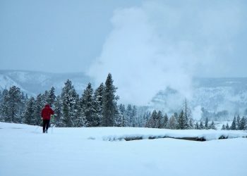 Yellowstone Late Spring Winter Wonderland