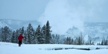 Yellowstone Late Spring Winter Wonderland