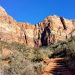 Rocking the Watchman Trail