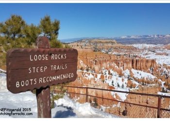 To Ski…Or Not To Ski?