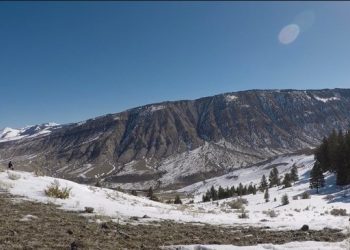 Going To Yellowstone