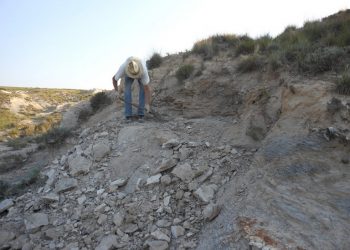 Fossil Site Clean Up