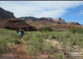 Living the Dream, Day 5 – Granite Gorge and The Great Unknown