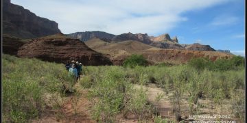 Living the Dream, Day 5 – Granite Gorge and The Great Unknown