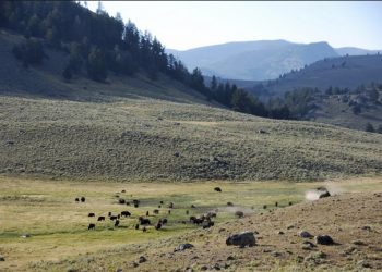 A Parks Photo Journal