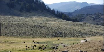 A Parks Photo Journal