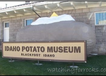 Get It While You Can