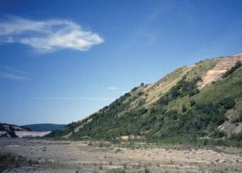 Cheap But Not Sleazy