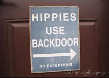 Hippies Use Back Door
