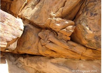 They Don’t Call It Fossil Hunting For Nothing!