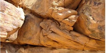 They Don’t Call It Fossil Hunting For Nothing!