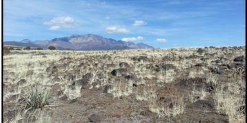 How Old Is This Rock?