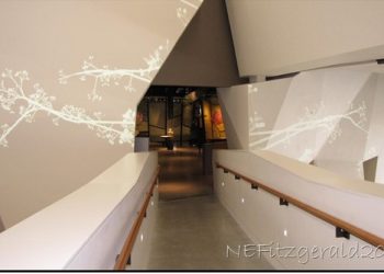 A New View In Salt Lake City