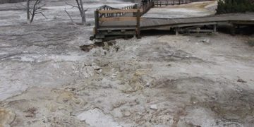 Stay On The Boardwalk!