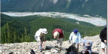 Back To The Burgess Shale