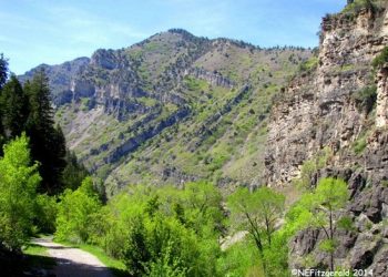 The Z Fold of Ogden Canyon
