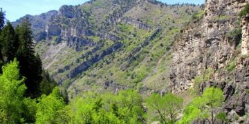 The Z Fold of Ogden Canyon