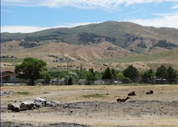 Pausing in Pocatello