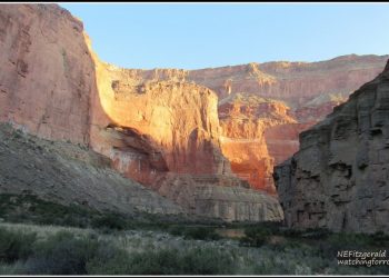 Living the Dream, Day 3 – Whither the Devonian?