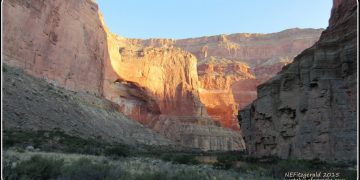 Living the Dream, Day 3 – Whither the Devonian?