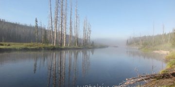 Psychotic Lewis River