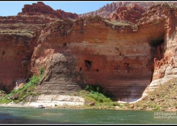 Living The Dream, Day 3 – Swinging a Cat in the Redwall Limestone
