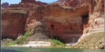 Living The Dream, Day 3 – Swinging a Cat in the Redwall Limestone