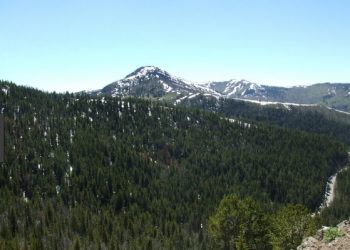 Personal Observation