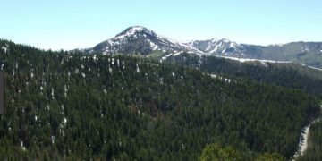 Personal Observation