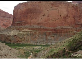 Living the Dream, Day 4 – Temple Butte to Tapeats