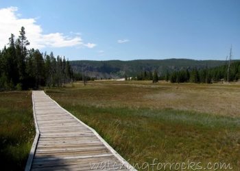 Geyser Gazing – Daisy Does Its Thing