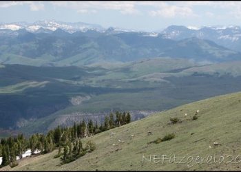 Oldest & Best – Yellowstone National Park