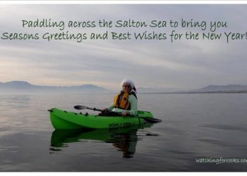 Seasons Greetings from Southern California!