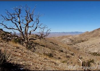February 2013 Remembered – Beaver Dam Mountains