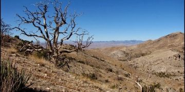 February 2013 Remembered – Beaver Dam Mountains