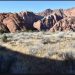 Contrast In Snow Canyon
