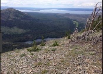 A Thoughtful Message on a Tiny Slip of Paper