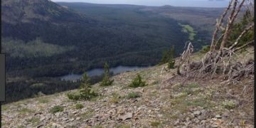 A Thoughtful Message on a Tiny Slip of Paper