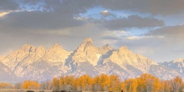 Unforgiving Circumstances