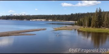 June 2013 Remembered – Birds On A Mission