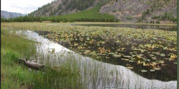 Beaver Lips And A Lava Flow
