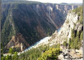 The Horrors of Seven Mile Hole