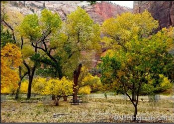 October 2013 Remembered – Swinging A Cat In Zion And Bryce