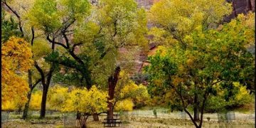 October 2013 Remembered – Swinging A Cat In Zion And Bryce