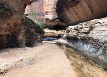 Wild Weather on the Wildcat Canyon Trail