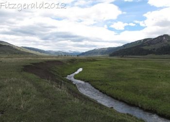 Keeping Up At The Buffalo Ranch